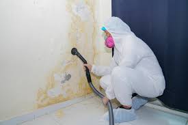 Best Comprehensive Air Testing for Mold Contaminants  in Welsh, LA